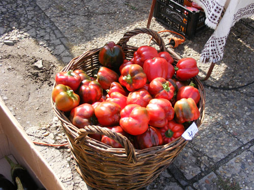 FOTO: Gogosari (c) eMaramures.ro